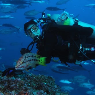 Liz scuba diving next to a fish