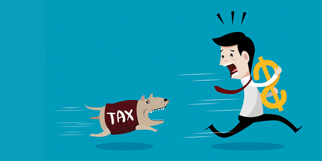 A Beginner's Guide to Understanding Your Taxes - Frightened man clutching money runs away from a dog in a TAX sweater