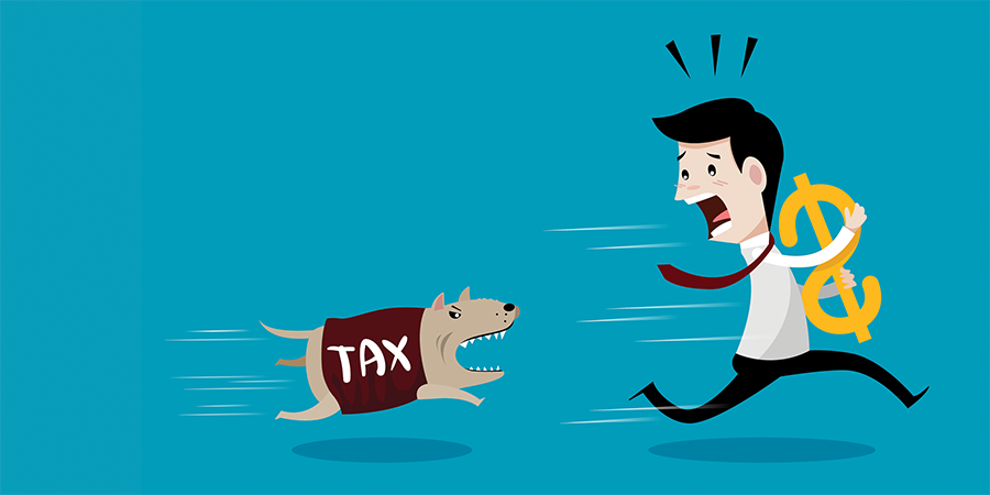 A Beginner's Guide to Understanding Your Taxes